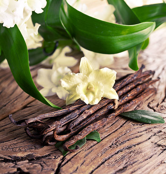 istock Bunch of vanilla sticks and flower. 538704565
