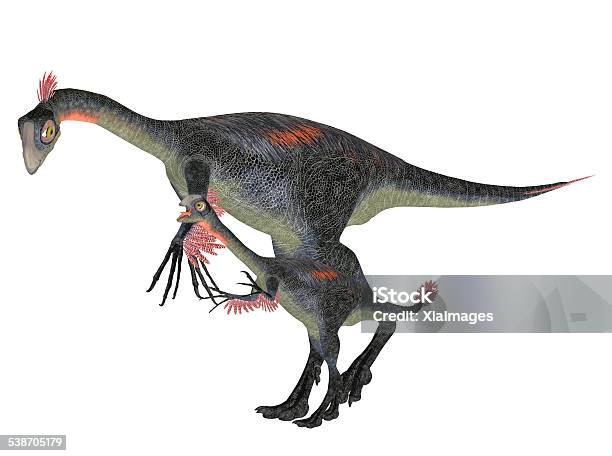 Illustration Of An Adult And A Young Gigantoraptor Stock Photo - Download Image Now - Animal, Cretaceous, Cut Out