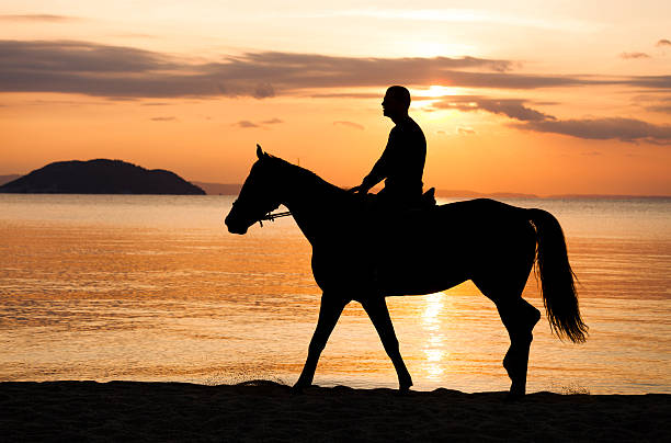 istock Horse Riding at Sunset. Beach. Seaside. 538705317