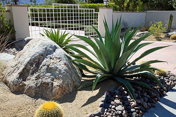istock Artistry Outside The Garden Gate 538705967