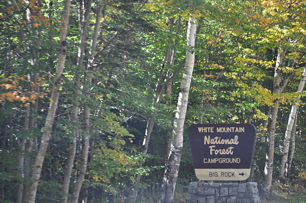 istock Fall Colors at White Mountain National Forest in New Hampshire 538708967