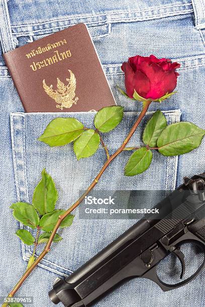 Thai Passport Gun And Rose In Jeans Pocket Stock Photo - Download Image Now - 2015, Authority, Backgrounds
