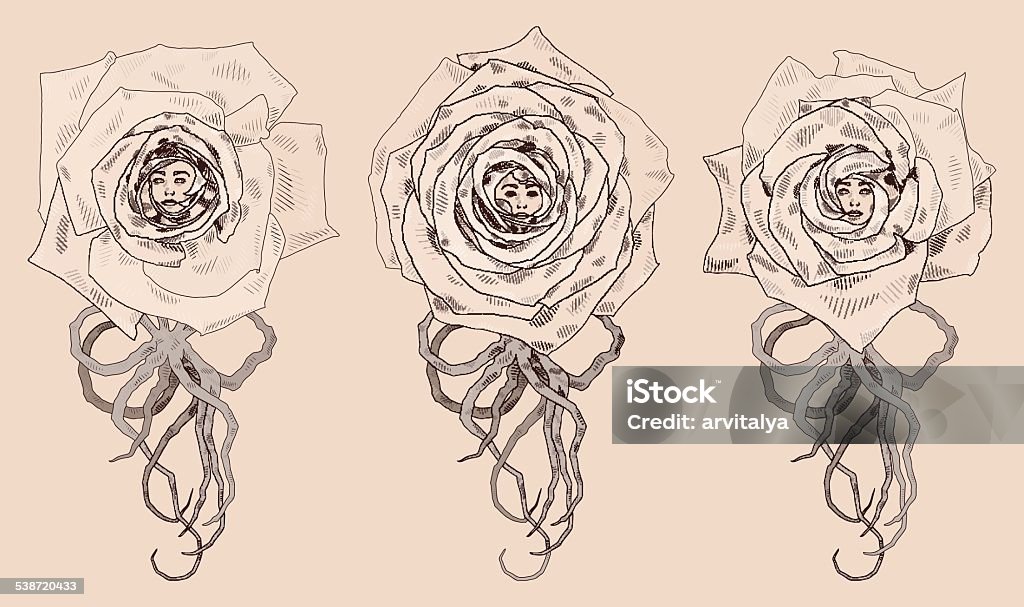 Three Roses Cartoon Vector Illustration With Three Abstract Cartoon Roses Stock ...