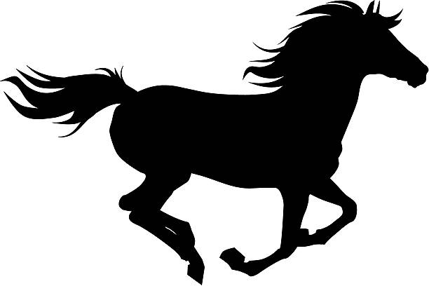ilustrações, clipart, desenhos animados e ícones de cavalo silhueta - running horses