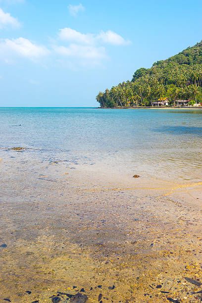 istock Taling Ngam beach landscape 538723217