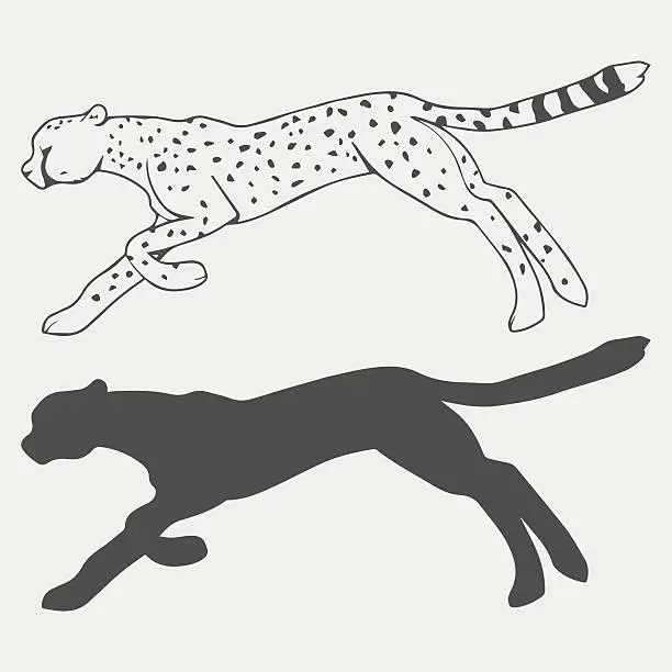 Vector illustration of Cheetah in motion outline and silhouette