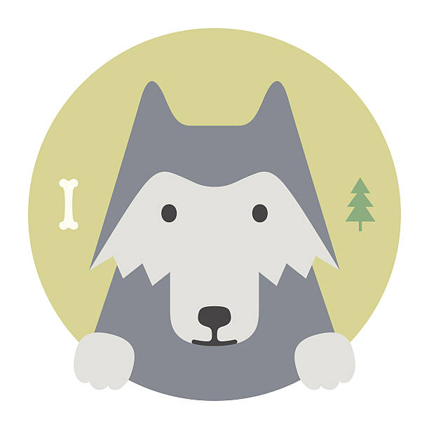 Wolf Simpl 100+ Simple Wolf Drawing Pictures Stock Photos, Pictures & Royalty-Free ...