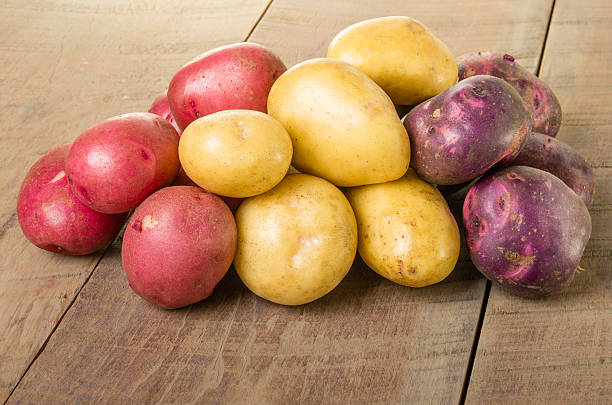 istock Group of red white and blue potatoes 538724125