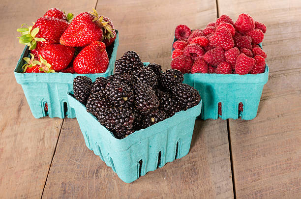Boxes of fresh berries just picked at the market Boxes of fresh sweet berries blackberries strawberries raspberries marionberry stock pictures, royalty-free photos & images