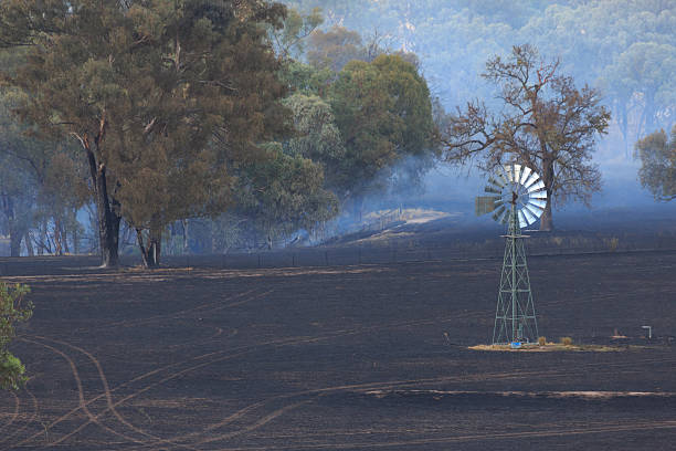 Windmill in Bushfire Aftermath A photograph of a windmill in the aftermath of a bushfire on a dry Australian farm in central western NSW. The fire was started by a dry lighting strike on christmas day in 2014. It was brought under control with the help of the rural fire service who, despite it being christmas day, were on site within 15 minutes of the fire starting. Unfortunately there are no photos of the actual fire because it was busy being fought. cowra stock pictures, royalty-free photos & images