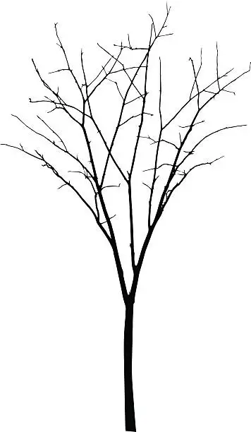 Vector illustration of vector black silhouette of a bare tree