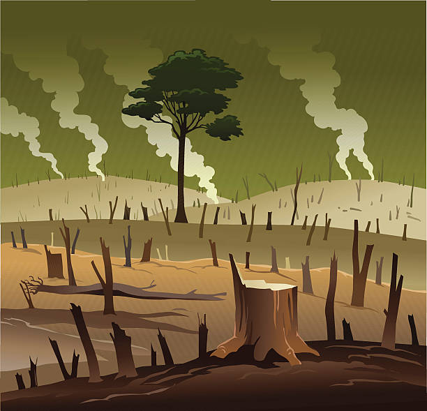 Deforestation and the Lonely Tree All images are placed on separate layers. They can be removed or altered if you need to. Some gradients were used. No transparencies.  habitat destruction stock illustrations