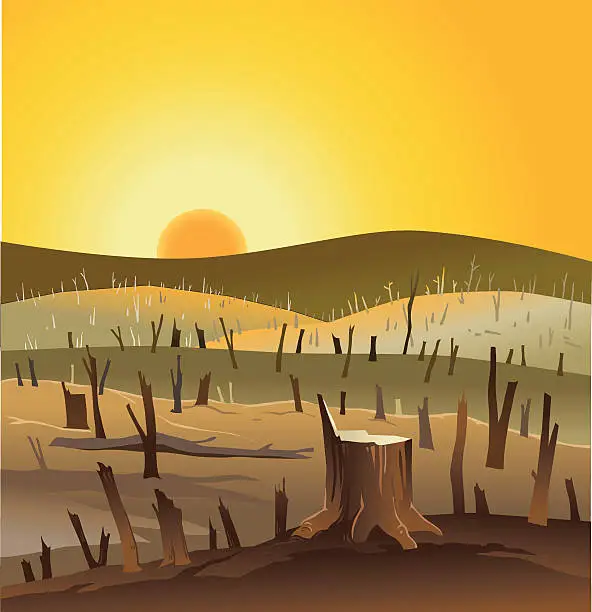 Vector illustration of Deforestation - Barren Land Wih Sunset