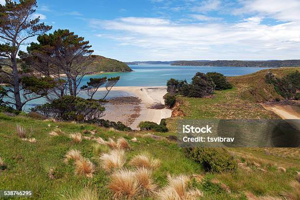 View Of Native Island From Stewart Wohlers Lookout Stock Photo - Download Image Now