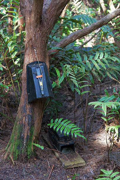 Possum trap hanging on a tree in New Zealand Possum trap hanging on a tree in South Island of New Zealand possum nz stock pictures, royalty-free photos & images