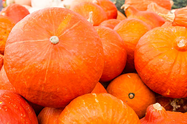 istock Orange hubbard squash at market 538747675