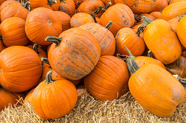 istock Pumpkins on display at the market 538747739