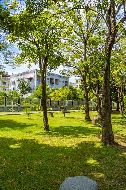 istock nature garden in Thailand 538747995