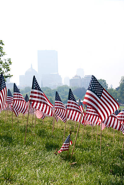 istock Low shot of flags in grass blowing in breeze. 538749315