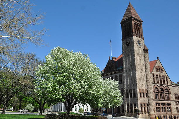 istock Albany City Hall in New York State 538750047
