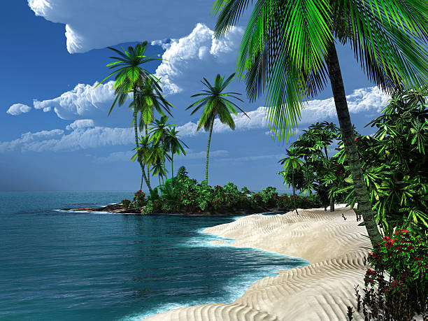 istock Sandy beach in the tropics 538750225