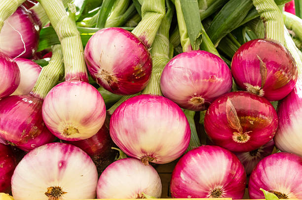 istock Red onions at the market 538751339