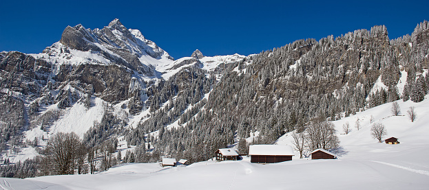 Typical swiss winter season landscape. March 2013, Switzerland.