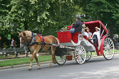 New York, USA, April 10, 2023 - Horse-drawn carriages / tourist carriages in Central Park, New York City.
