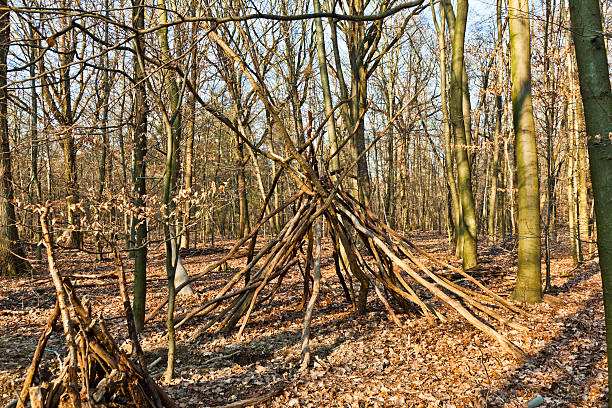 istock tent construction made of small trees in forest 538754043