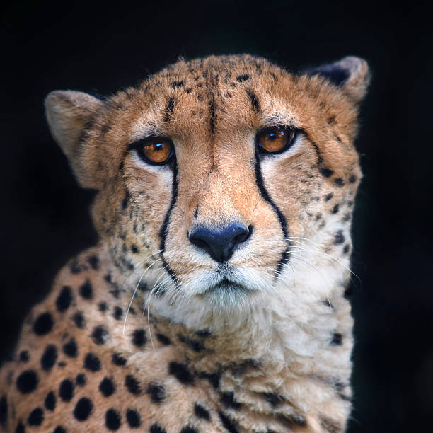 Photo taken in Hluhluwe, South Africa