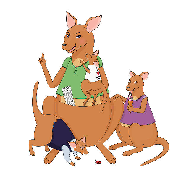 ilustraciones, imágenes clip art, dibujos animados e iconos de stock de ilustración de kangaroo madre con hijos - young animal mother kangaroo family