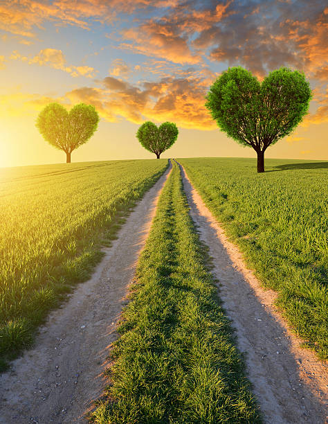 istock Trees in the shape of heart at sunset. 538767540