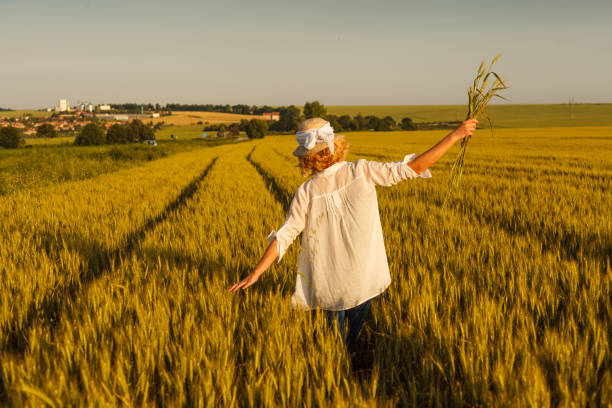 istock happy woman in wheat field 538768428