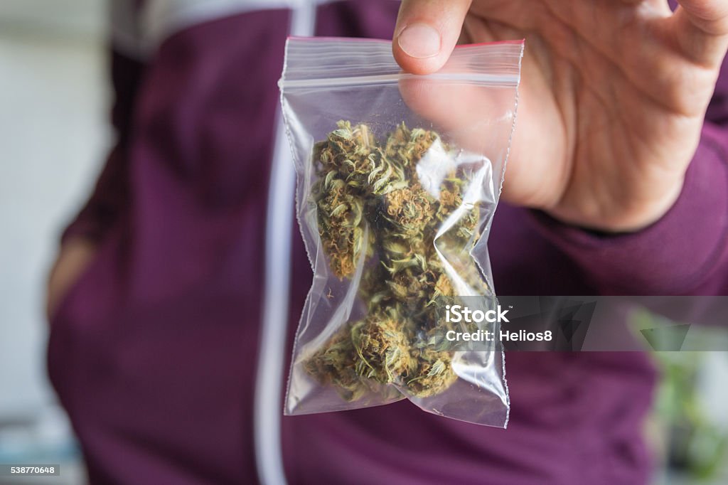Man trading marijuana showing buds in the zip package Man in purple hoodie trading marijuana showing buds in the zip package Marijuana - Herbal Cannabis Stock Photo