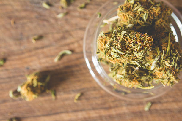 istock Marijuana buds in the glass plate 538771292