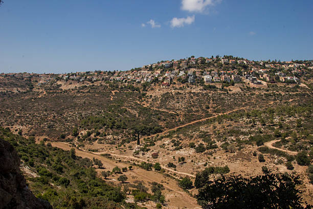 istock Nature of Israel 538772648