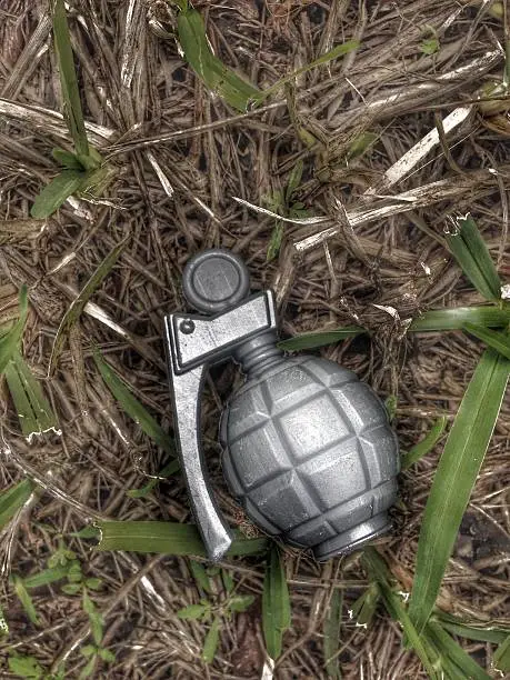 Image of a metal looking plastic toy grenade shot hidden in the grass.