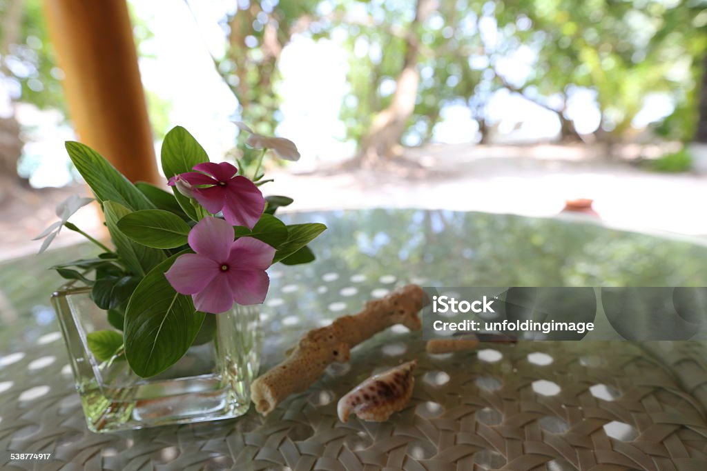 Pink Flower Pink flower on table in the Maldives 2015 Stock Photo