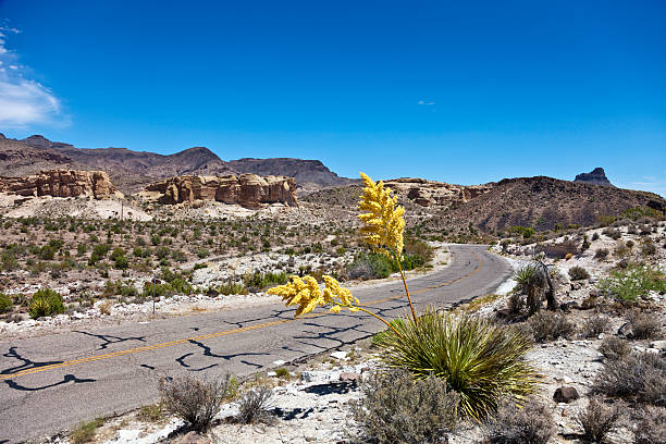 Historic Route 66 stock photo