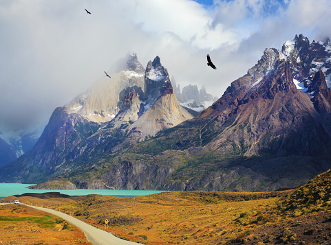 Summer day in the national park Torres del Paine, Patagonia, Chile. Cliffs of Los Kuernos among the clouds. Andean condors fly over the lake Pehoe