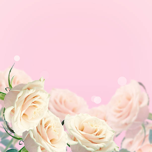 istock Postcard with elegant  flowers 538777227