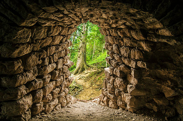 istock Tunnel entrance in the Forest 538779739