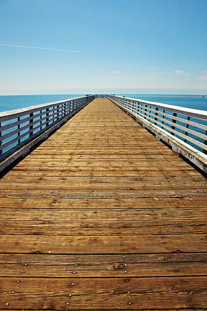 istock Wooden pier at Pacific coast 538779841