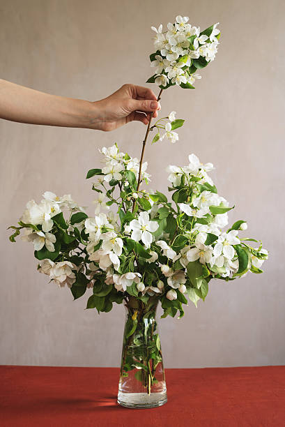 Chamomile bouquet in glass