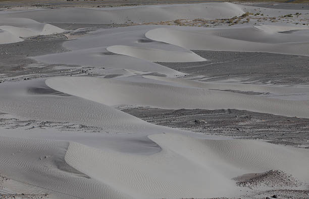 nubra valley en ladakh - prudish fotografías e imágenes de stock