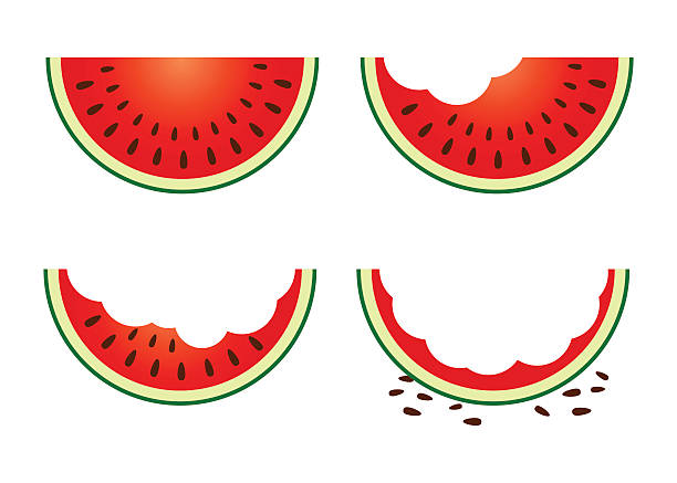 ~세트 워터멜론 후르트 식사 단계 - watermelon fruit food portion stock illustrations