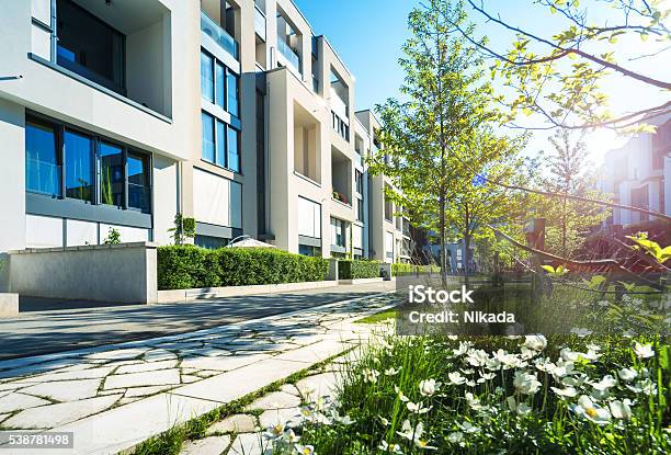 White Flowers In Grass Near Trees Beside Sidewalk Stock Photo - Download Image Now - Building Exterior, Organization, Construction Industry