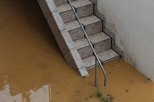 istock Flood in Brusque - September 09, 2011 538784010