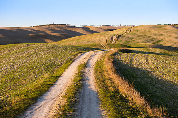 istock Winding country road through green wheat field 538791824
