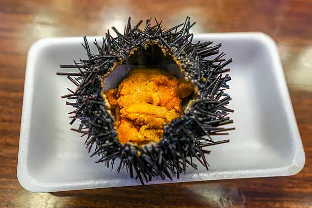 Japanese Food: Fresh sea urchin (uni) from the local market in Japan